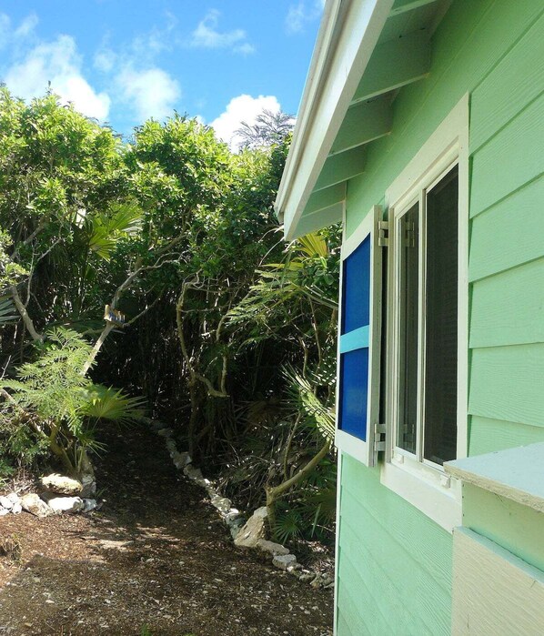 A house with a green exterior and a window with blue shutters.