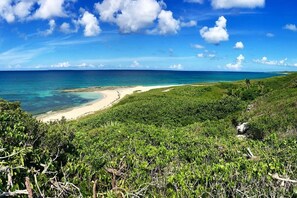On the beach, sun loungers, beach towels - The Surf Cottage - Beach and Jungle all in One!  An off the grid cottage. (Gregory Town)