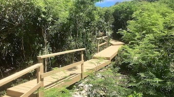 المنطقة المحيطة بالمنشأة