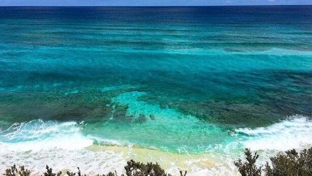 A beach with clear turquoise waters and white sand. - The Surf Cottage - Beach and Jungle all in One!  An off the grid cottage. (Gregory Town)