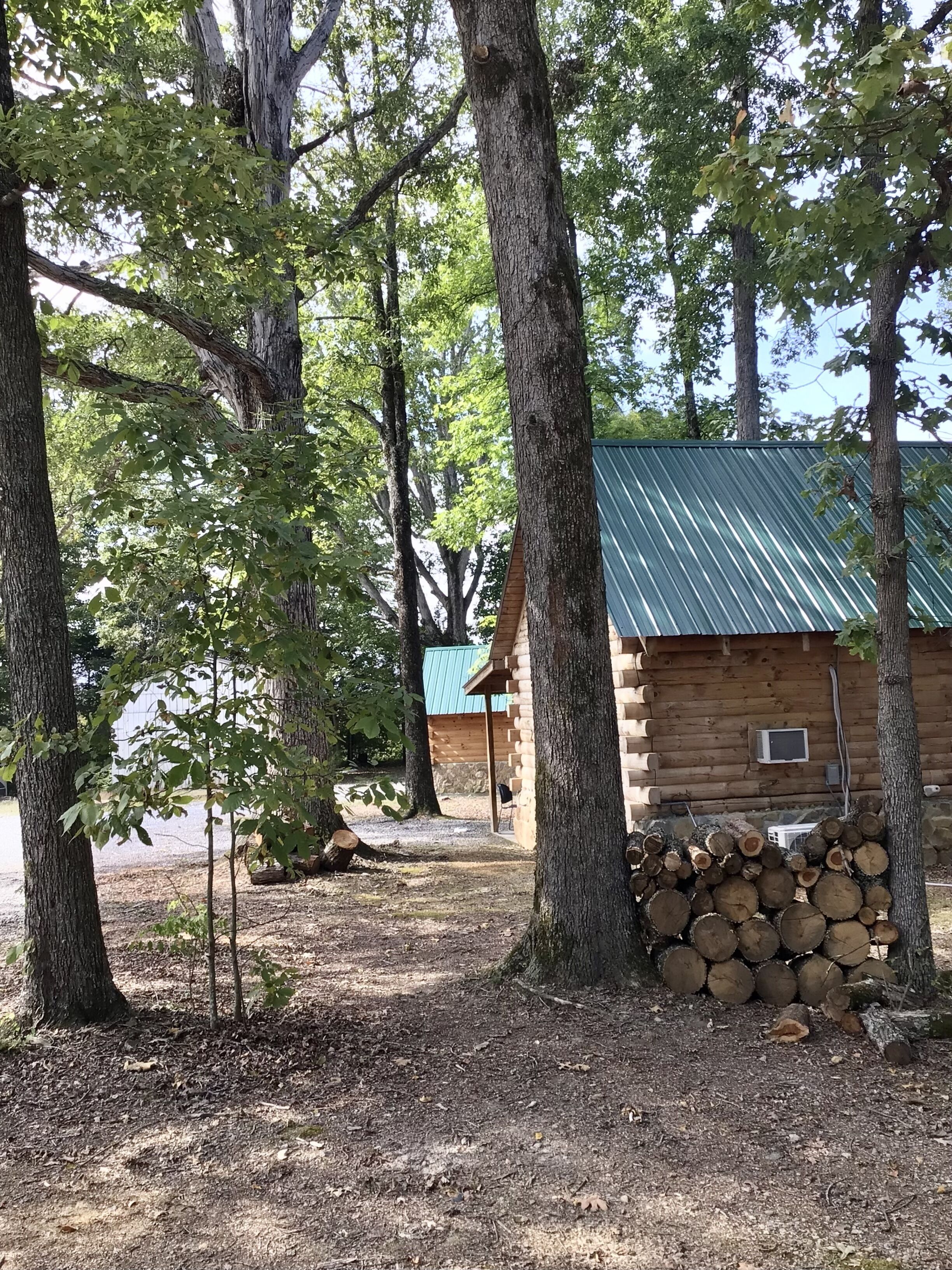 A rustic cabin with a green metal roof, surrounded by tall trees and a stack of firewood.