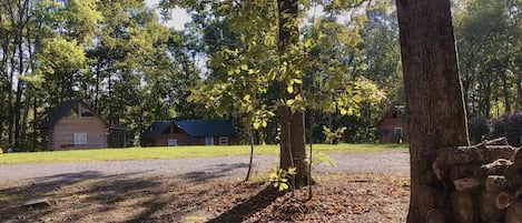 A rustic cabin with a green roof, surrounded by a gravel driveway and a wooded area.