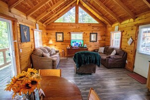Cabin 5 Shady Pines | Living area | 42-inch flat-screen TV with satellite channels, TV