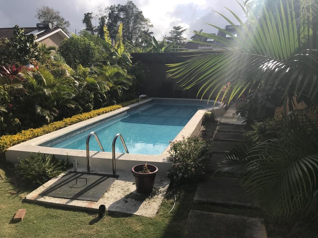 Une piscine rectangulaire avec un escalier en métal, entourée d’une végétation luxuriante et bordée d’un chemin de pierres.