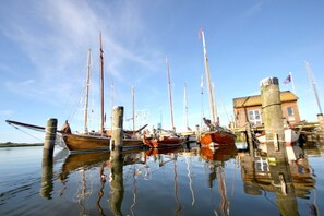 Uklassifisert bilde, 3 av 24, knapp