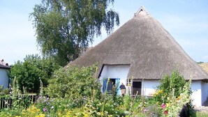 A thatched-roof house with a white exterior, surrounded by a garden with various flowers and a tall tree. - Ferienhaus Distelfink Wohnung 01 - Ferienhaus Distelfink (Gager)