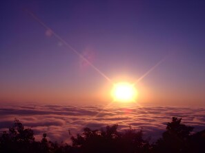 A sunrise over a cloud-covered landscape with silhouettes of trees. - Ali-shan Dengshan Hotel (Alishan)