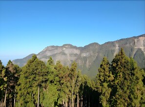 Miscellaneous - Ali-shan Dengshan Hotel (Alishan)
