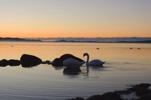 Botón de imagen sin clasificar, 2 de 16