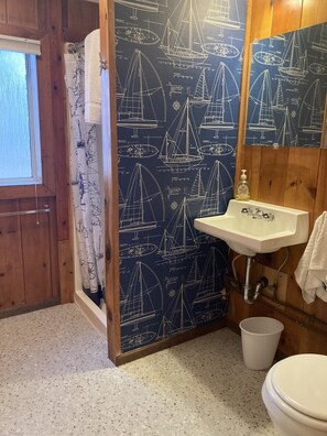 Combined shower/bathtub, hair dryer, towels, soap