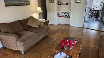 Smart TV, fireplace, books
