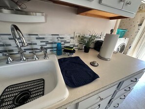 A kitchen with a sink, faucet, countertop, and a potted plant.