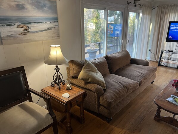 Smart TV, fireplace, books