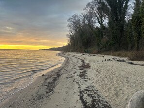 A beach with a sandy shore, seaweed, and trees.