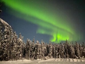 Ein verschneiter Wald mit klarem Nachthimmel und Polarlichtern.