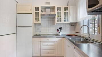 Fridge, microwave, stovetop, dishwasher