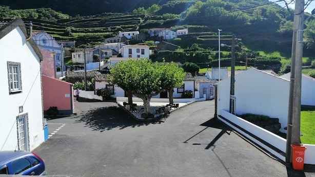 A street with buildings, a tree, and a car.