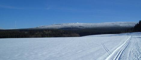 Deportes de invierno y ski