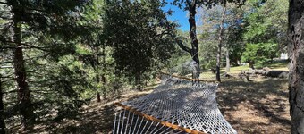 Family Friendly Vacation