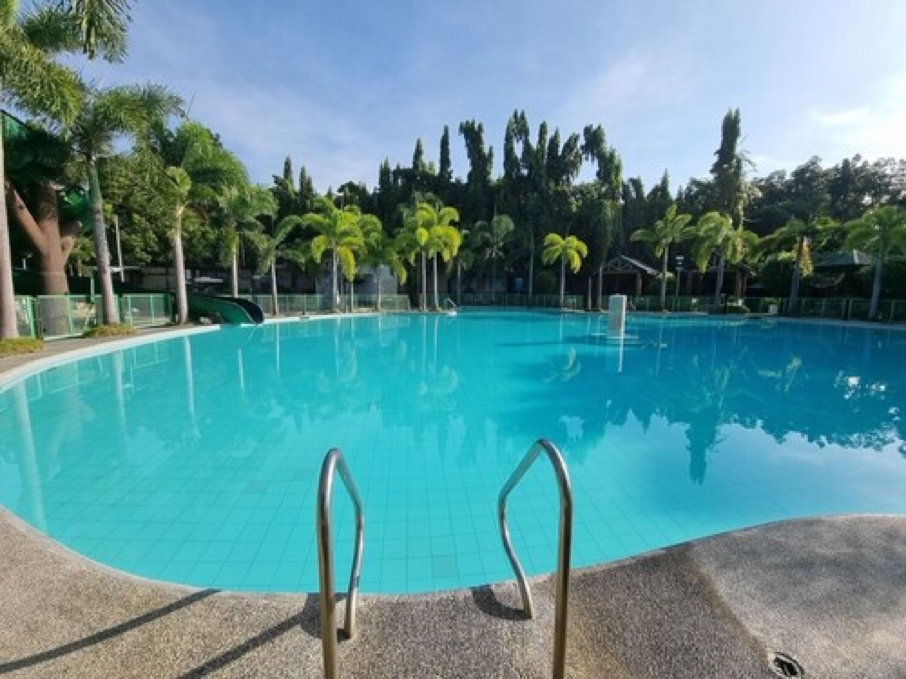 A clear blue pool surrounded by palm trees and a clear sky.