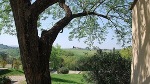 Ein mit Bäumen gesäumter Außenbereich mit Blick auf eine grüne Landschaft und entfernte Gebäude.