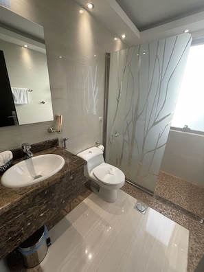 A modern bathroom with a large sink, toilet, and shower.