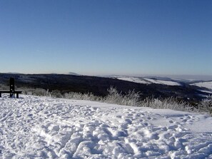Botón de imagen sin clasificar, 3 de 40