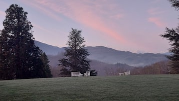 Vista al paisaje