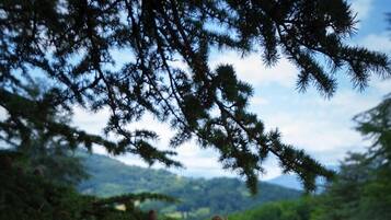 Daily cooked-to-order breakfast (EUR 12 per person)