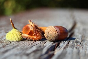 Unclassified image, 3 of 25, button