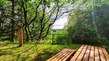 Un banc en bois se trouve dans un espace verdoyant, avec des arbres et une clôture en arrière-plan.