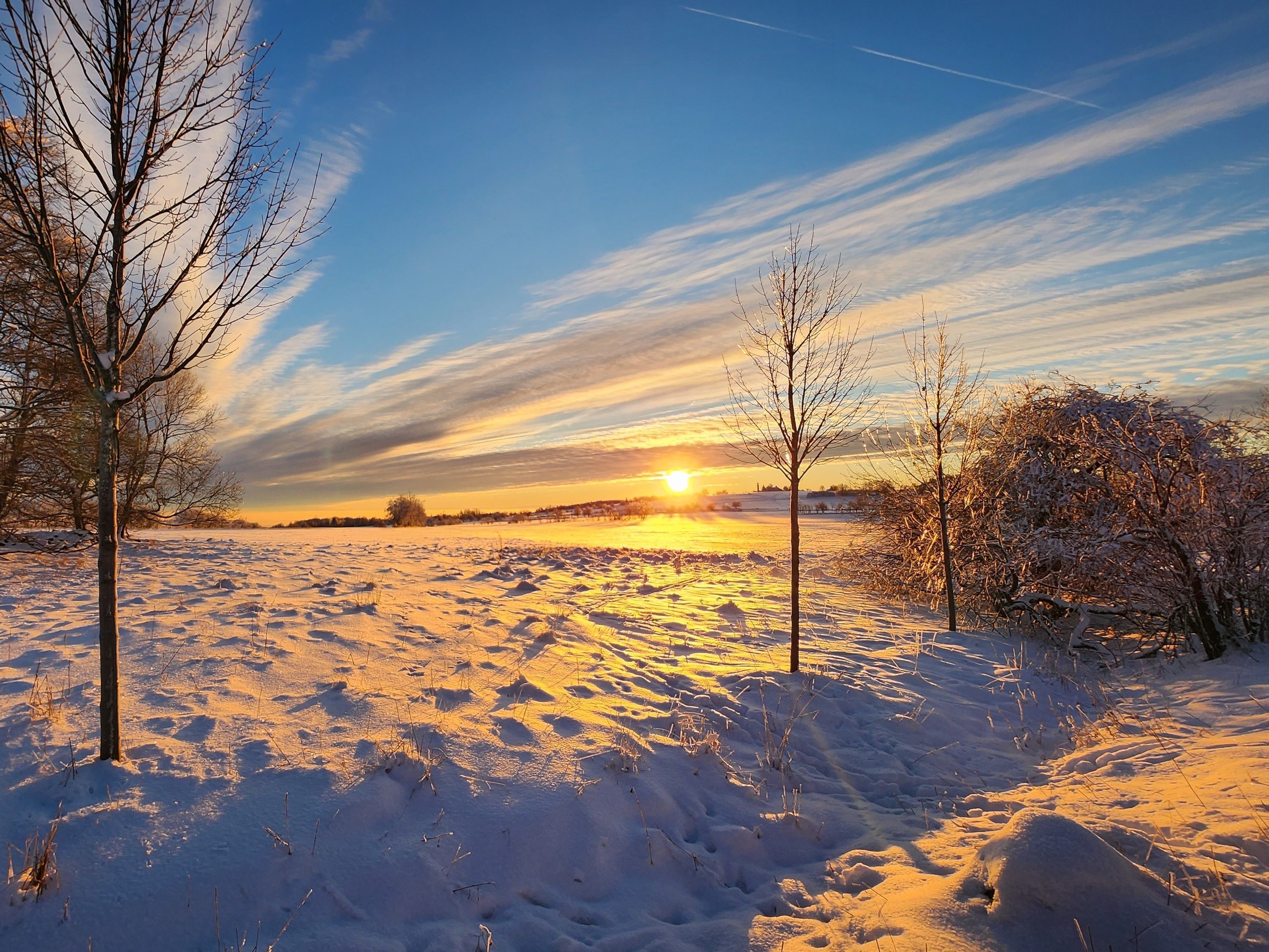 Un paysage enneigé, avec un coucher de soleil, des arbres sans feuilles et un ciel dégagé.