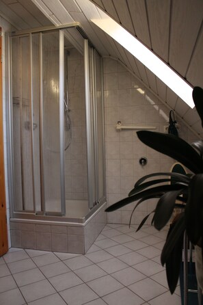 Douche, sèche-cheveux, serviettes fournies, papier toilette