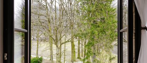 A window with a view of a forested area, including trees and a path.