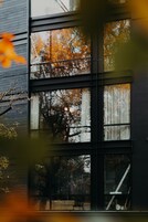 Un edificio de varios pisos con grandes ventanales que reflejan árboles otoñales.