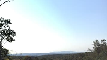 Área da propriedade