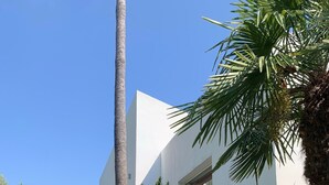 Un edificio moderno con fachada blanca, rodeado de un jardín cuidado con diversas plantas y un camino de piedra.