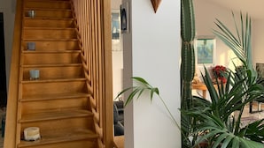 Una escalera de madera con barandilla, una planta en maceta y un cactus en la pared.