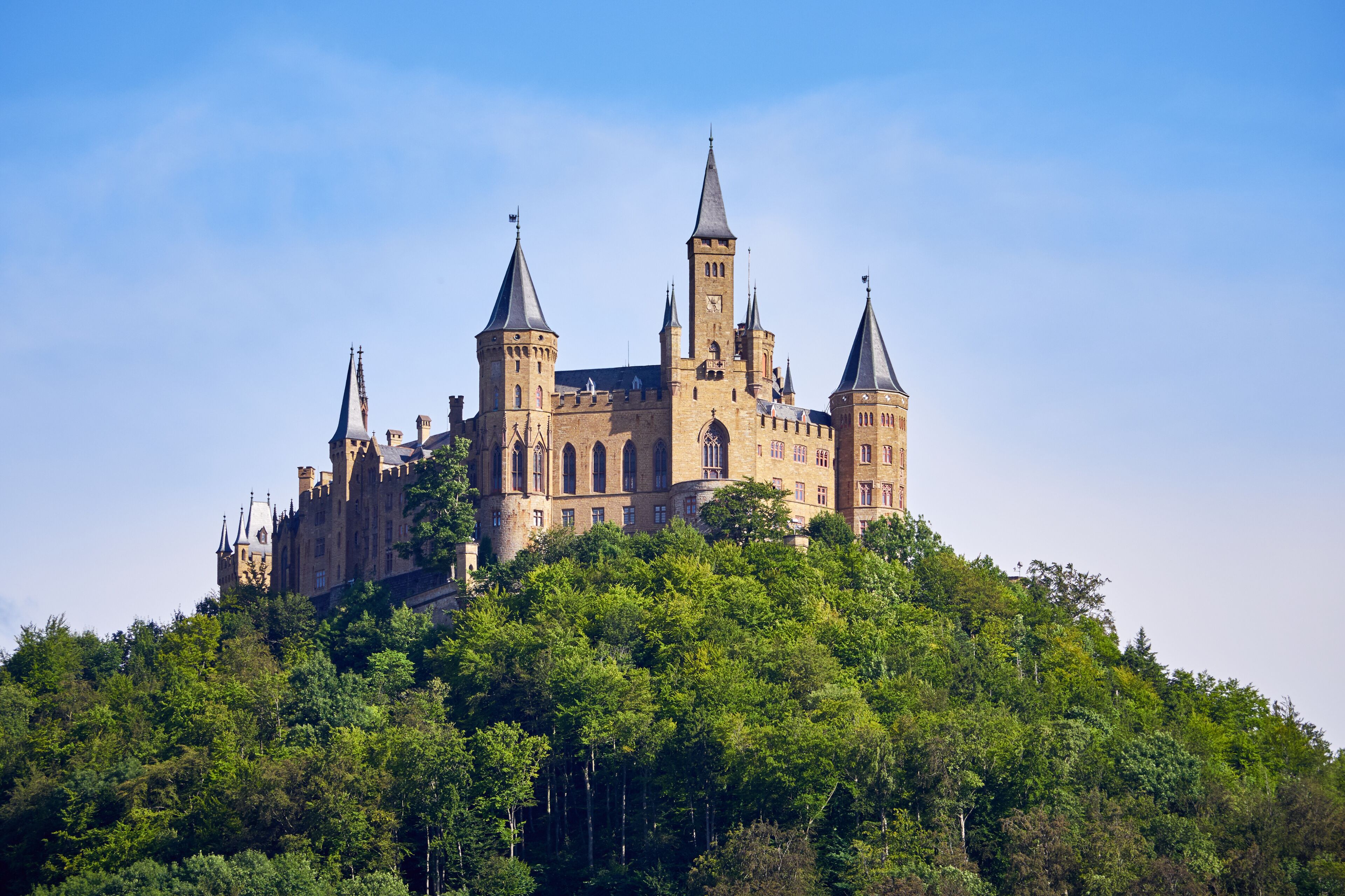 A castle-like building with multiple towers, surrounded by dense green trees.