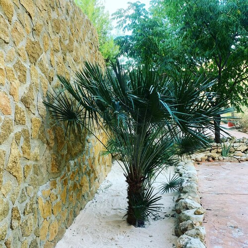 Wooden cabin with isothermal cave next to the chicamo river