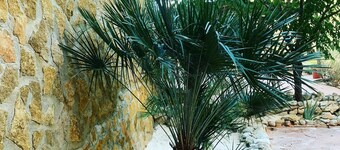 Wooden cabin with isothermal cave next to the chicamo river