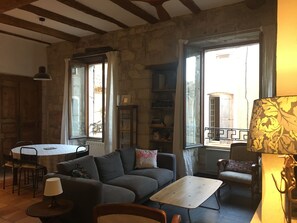 TV, fireplace, DVD player, books - In a historic 12th-century building (Montfrin)