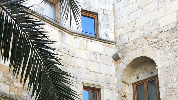 A stone building with multiple arched windows and a palm tree in the foreground. - In a historic 12th-century building (Montfrin)
