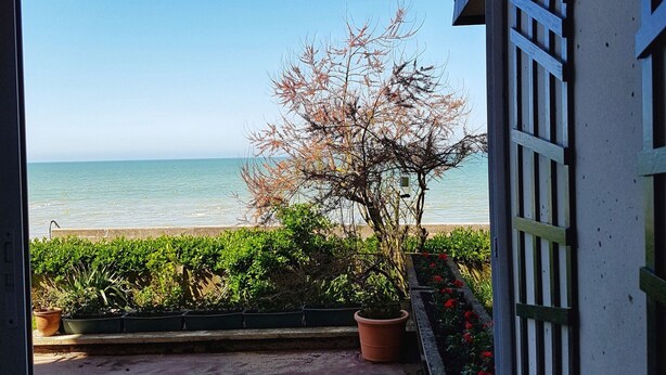 A view of a beach from a balcony with a potted plant and a railing. - Cabourg: Modern 4/5-room apartment, beach access, 8 ppl, garden and terrace, parking, WIFI (Cabourg)