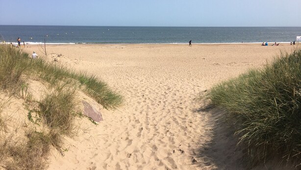 A sandy beach with a clear view of the ocean, a few people, and some vegetation in the foreground.