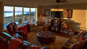 TV, lareira, DVD player