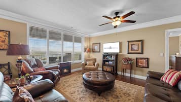 TV, fireplace, DVD player
