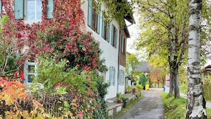 Uklassifisert bilde, 3 av 26, knapp