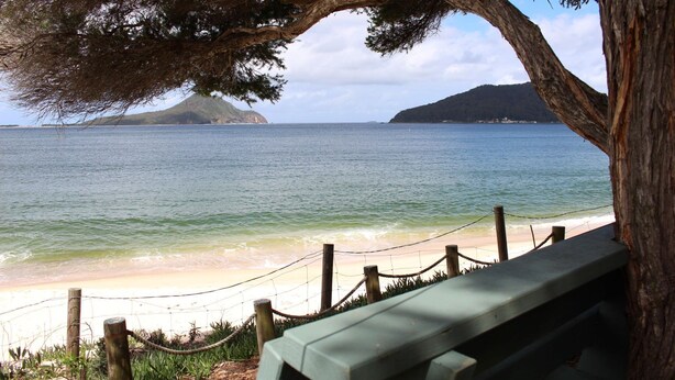 A beach view with a wooden bench, a rope fence, and a tree. - 5 Kingfisher, 5-7 Ondine Close, Nelson Bay, luxury apartment with Wifi and air conditioning (Nelson Bay)