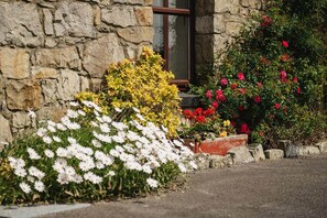 A stone building with a window, surrounded by various flowering plants.